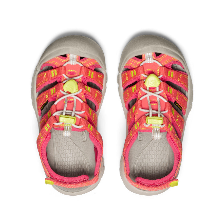 Keen Little Kids' Newport Boundless Sandal | Dubarry/Evening Primrose